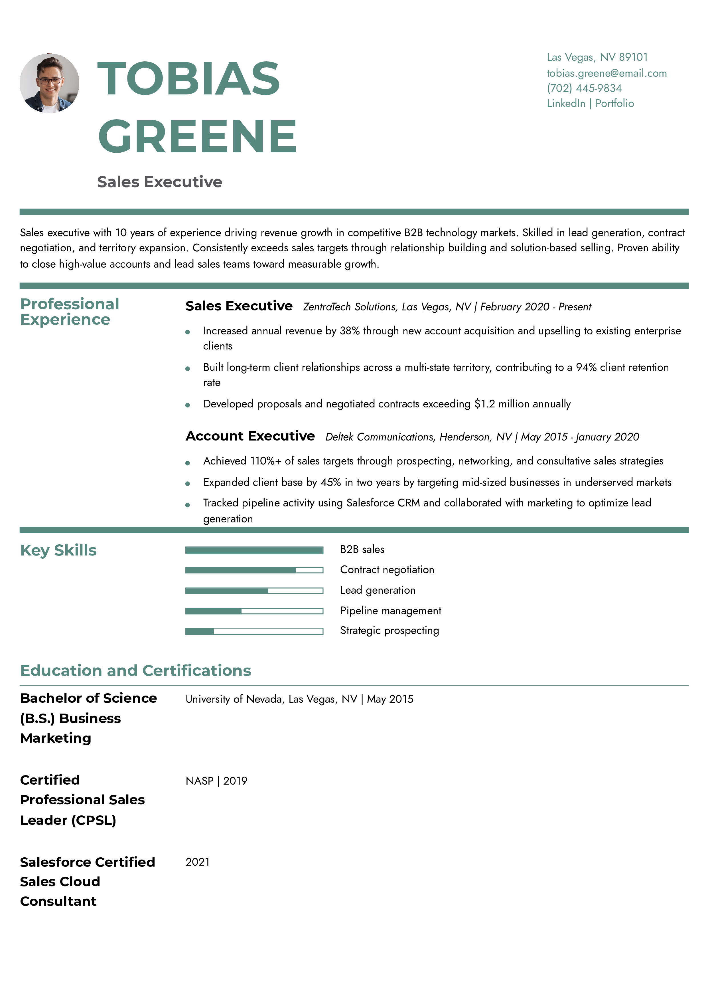 Sales Executive Resume Example