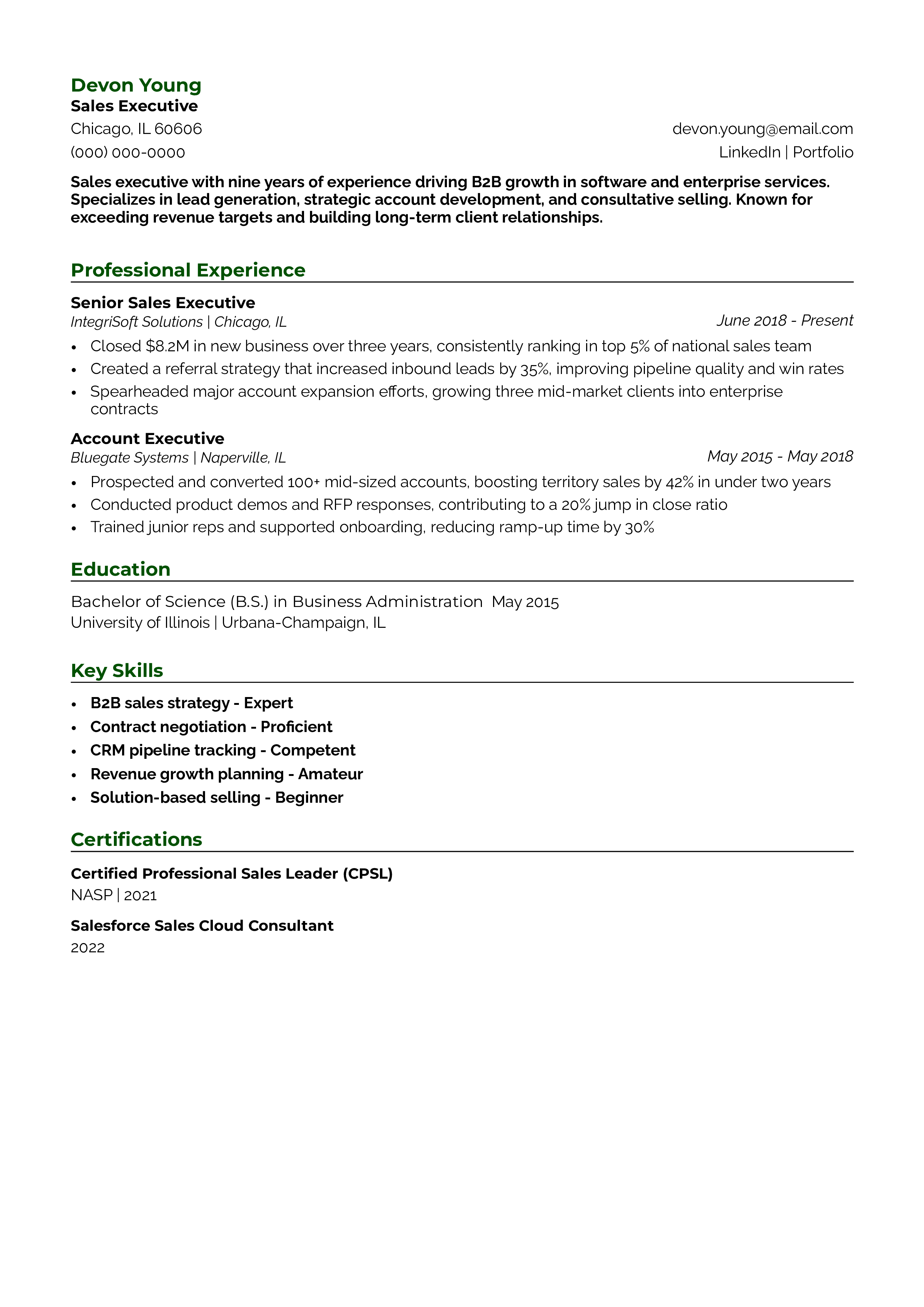 Sales Executive Resume Example